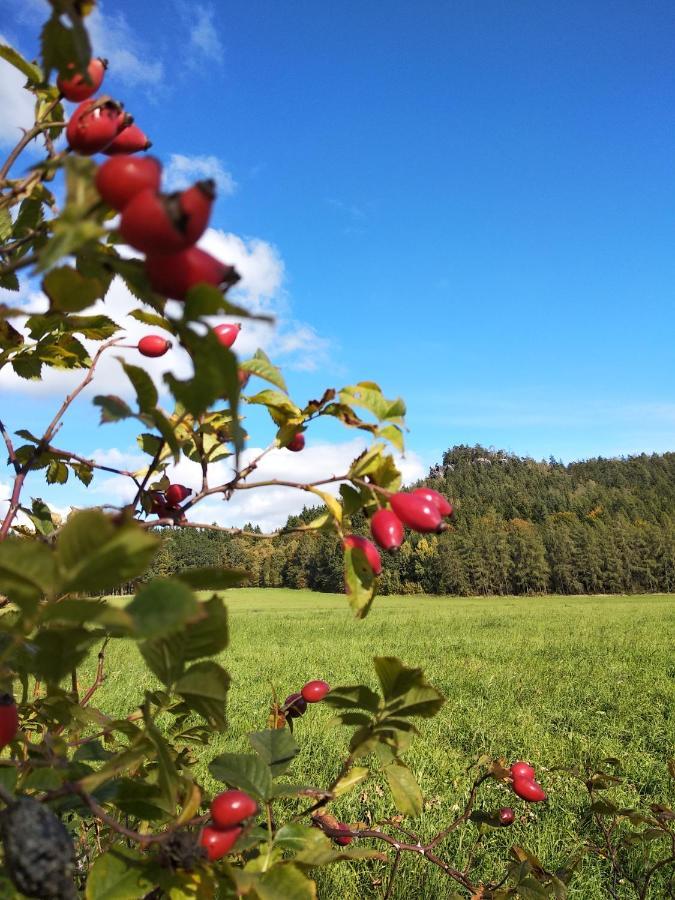 Apartmány Adršpach u Kozárů Teplice nad Metují Exterior foto